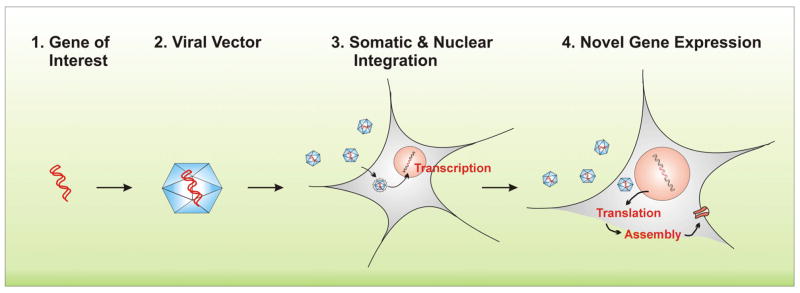 Fig. 2