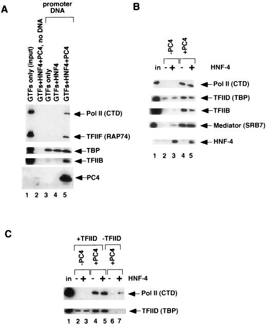 FIG. 7.