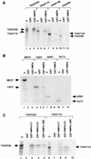 FIG. 5.