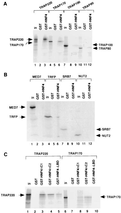 FIG. 5.