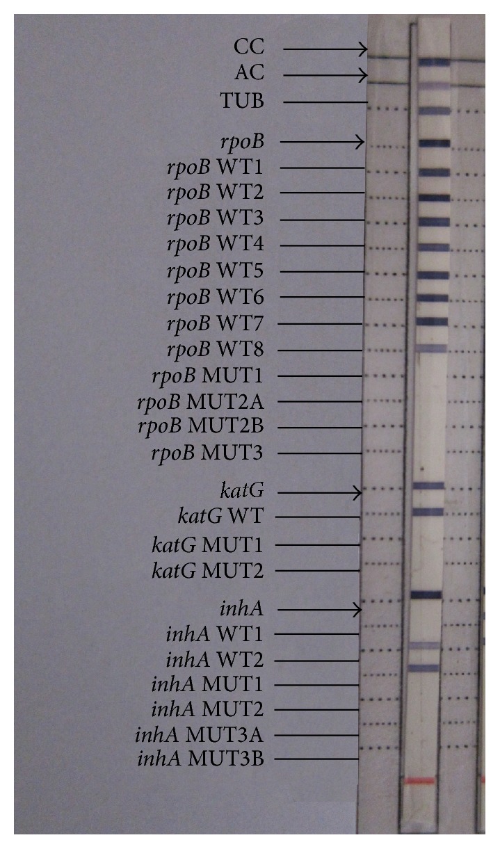 Figure 5