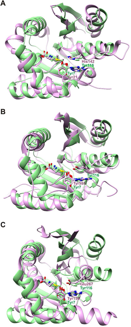 Figure 9