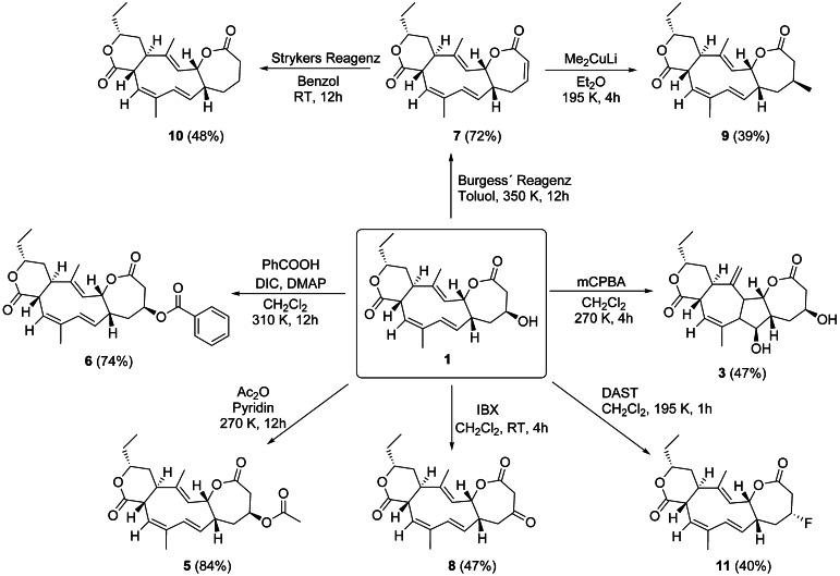 Scheme 3