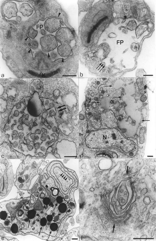 FIG. 6.