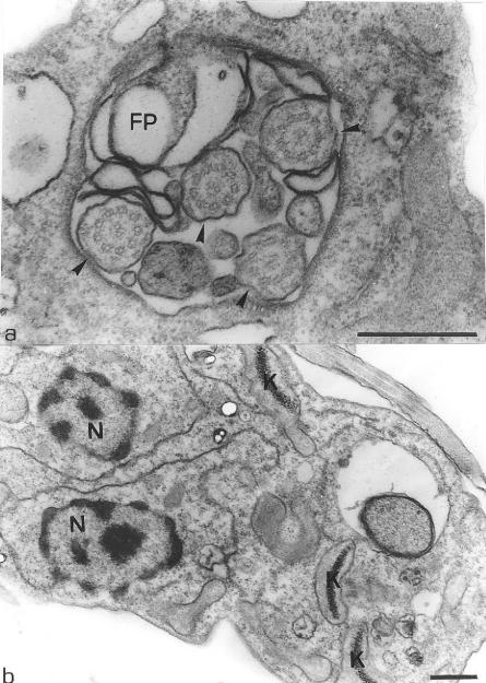 FIG. 7.