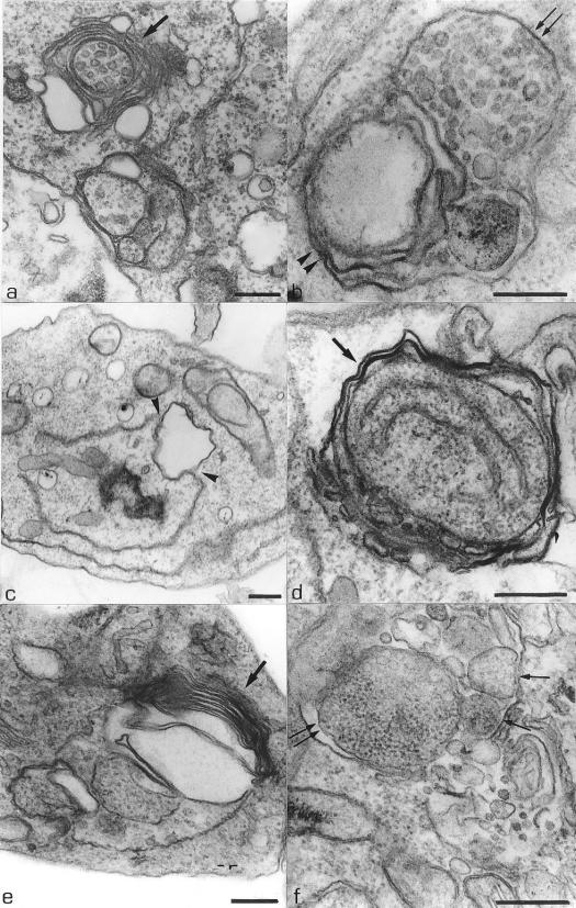 FIG. 5.