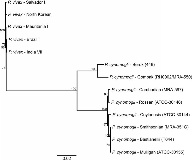 Figure 2