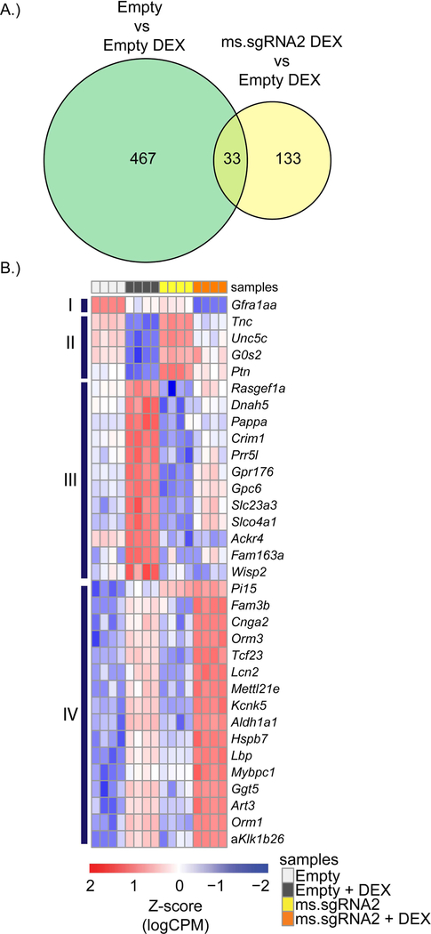 Figure-5.