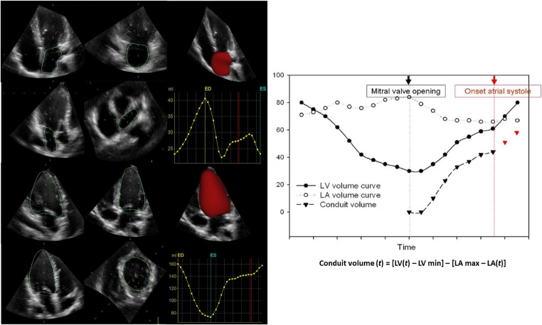 Fig. 2