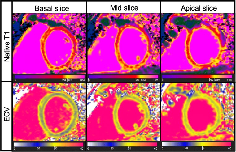 Fig. 3