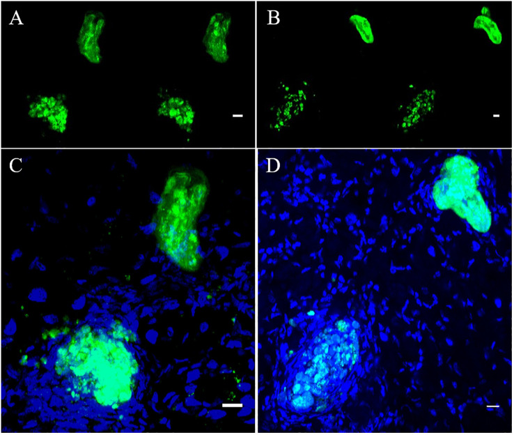 Figure 6