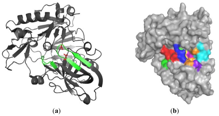 Figure 1.