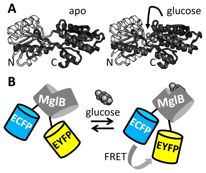 Figure 2.