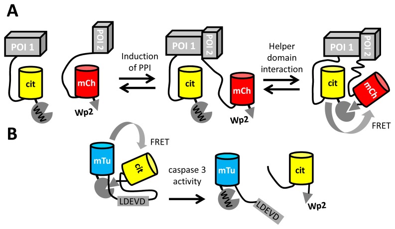 Figure 6.