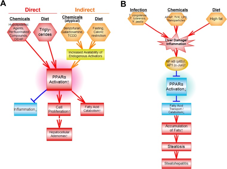 Fig 10