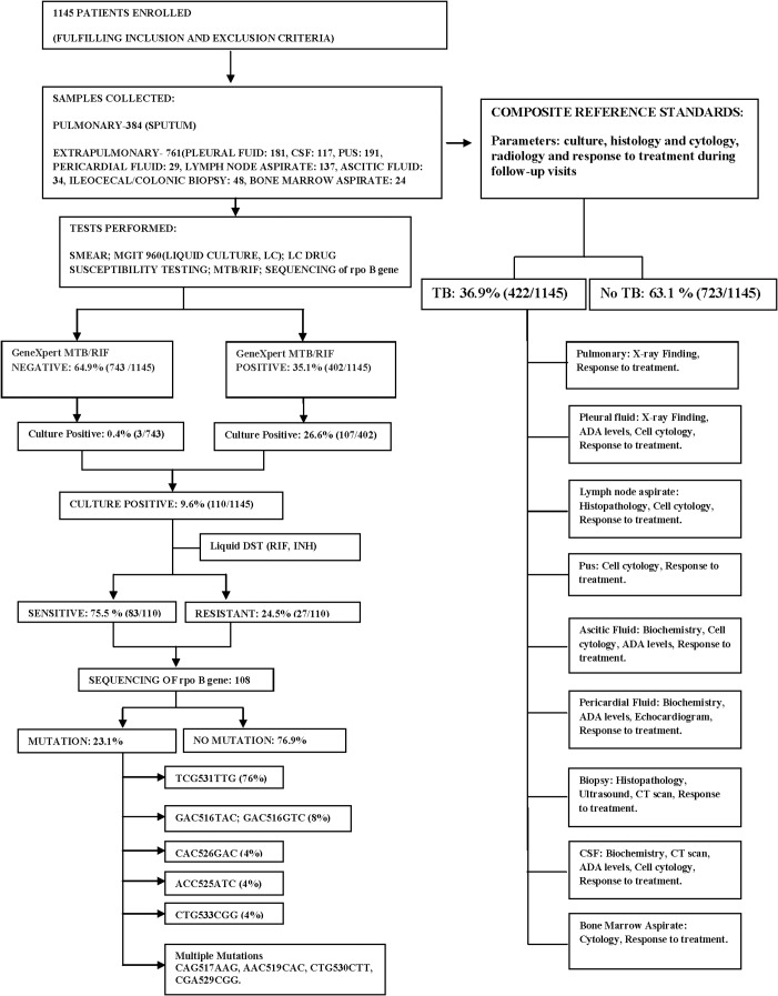 Fig 1