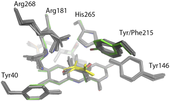 Figure 6