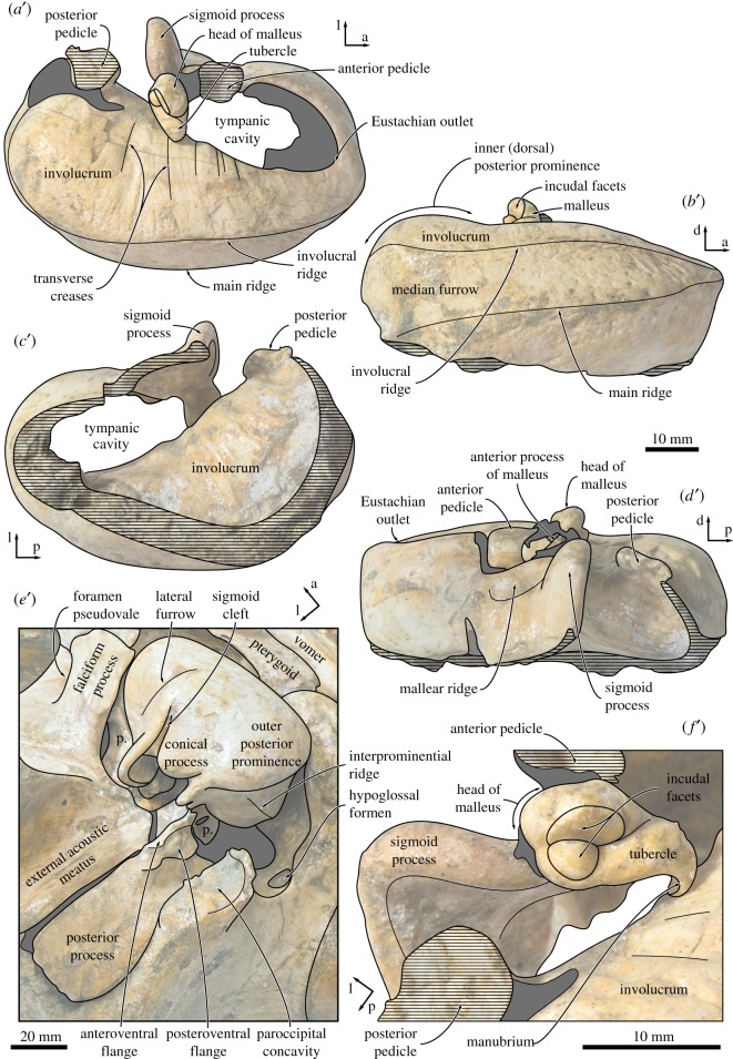 Figure 10.