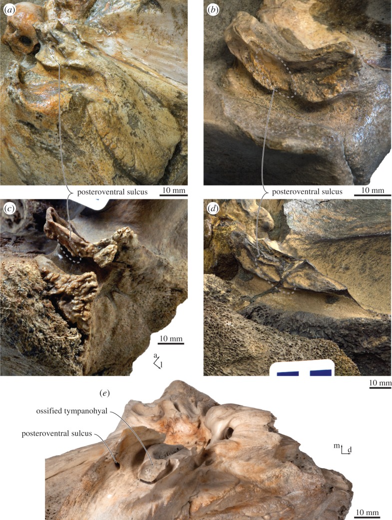 Figure 12.