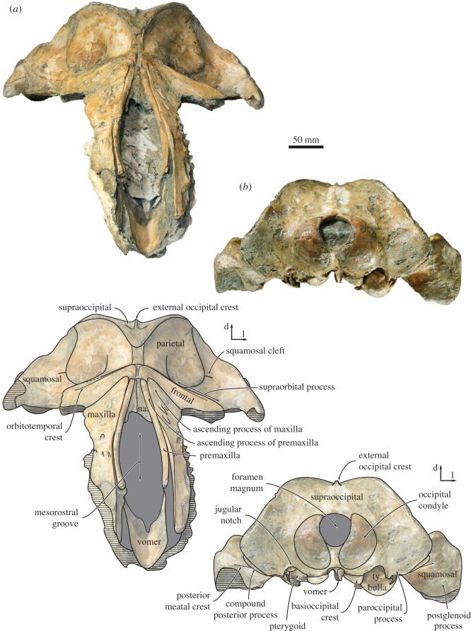 Figure 7.