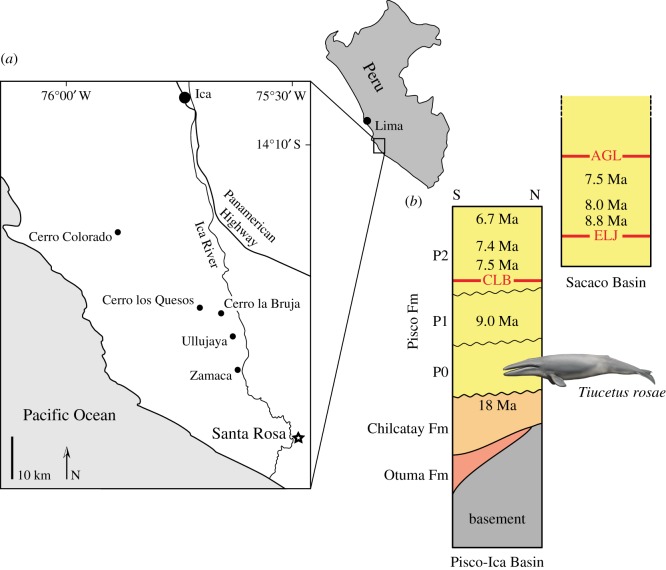 Figure 1.