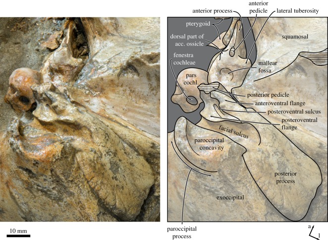 Figure 9.