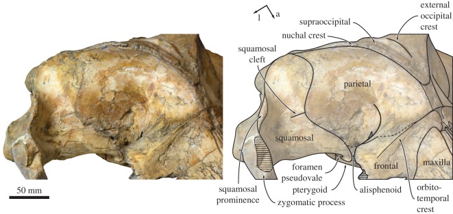 Figure 5.