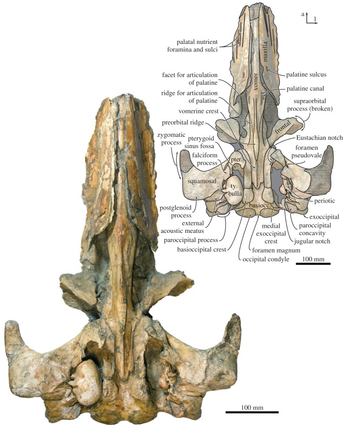 Figure 6.