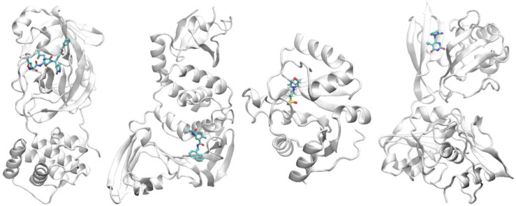 Figure 2. 