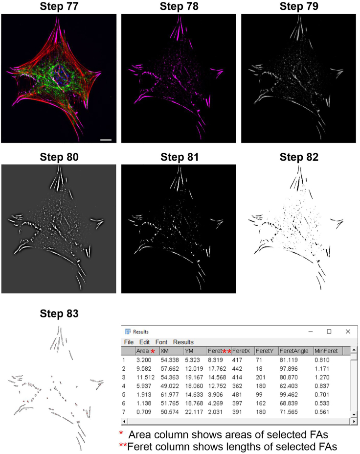 Figure 6