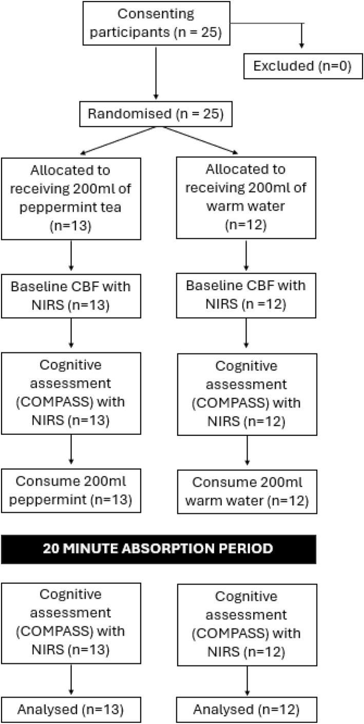 FIGURE 1