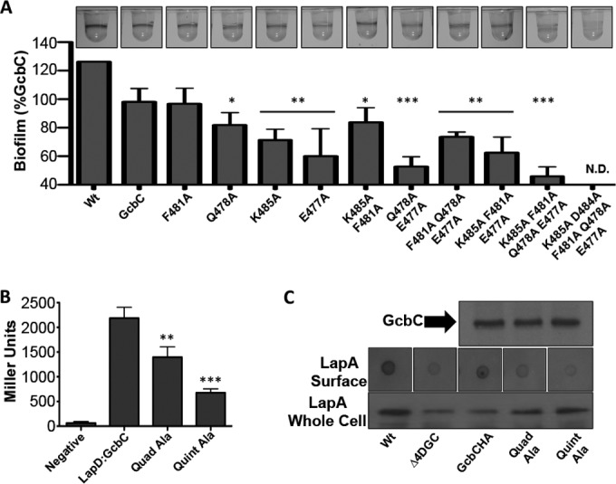 FIG 2 