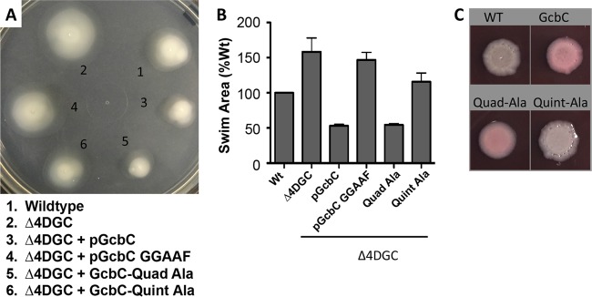 FIG 3 