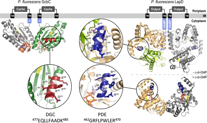 FIG 6 