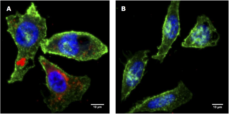 Fig. 10.