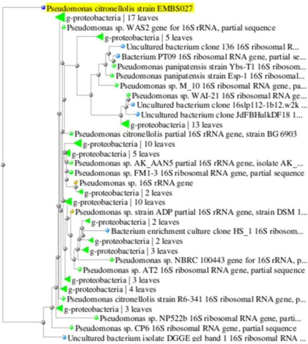 Figure 11