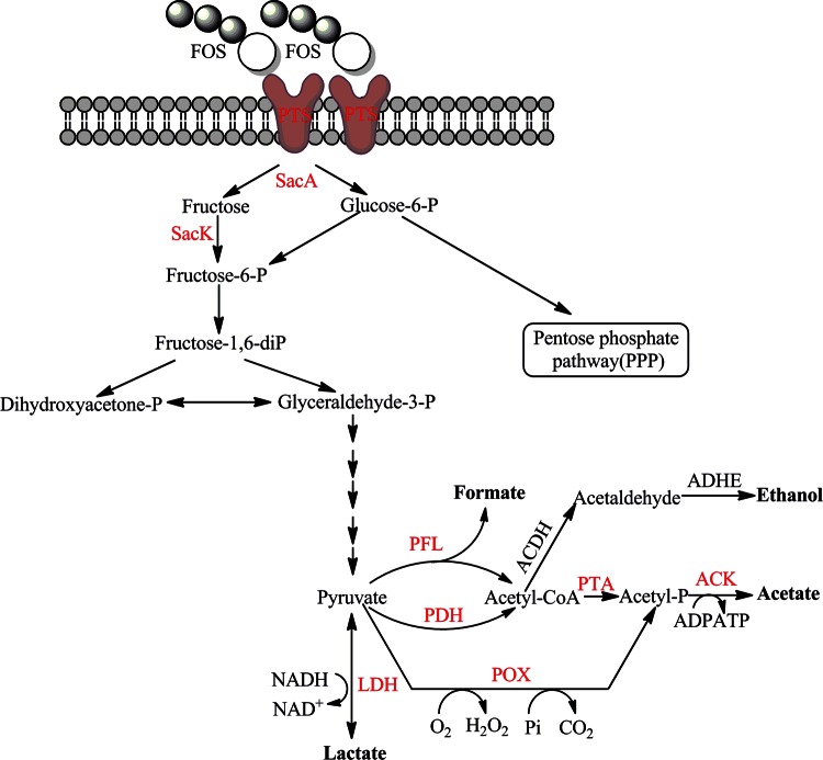 FIG 3