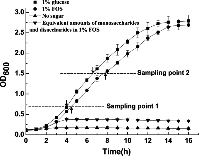 FIG 1