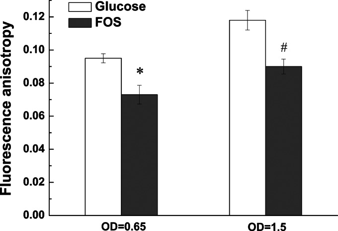 FIG 6