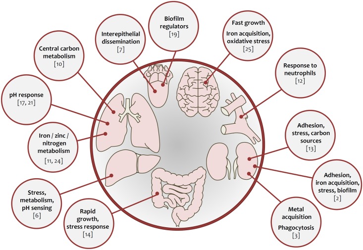 Fig 2