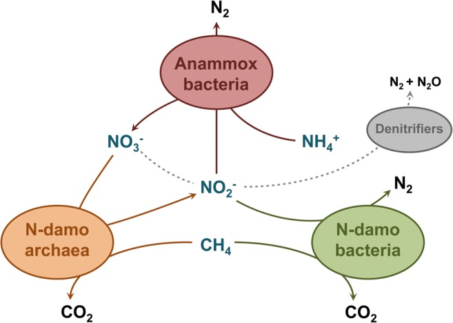 Fig. 9