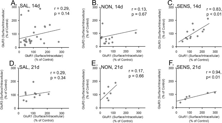 Figure 11.