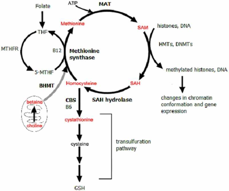 Figure 1.