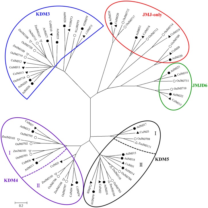 FIGURE 3