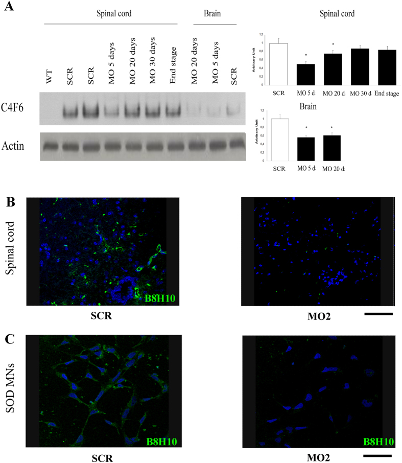 Figure 6