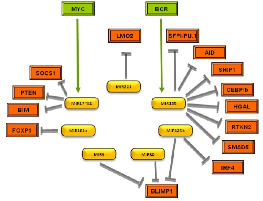 Fig. (1)