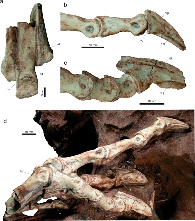 Figure 10