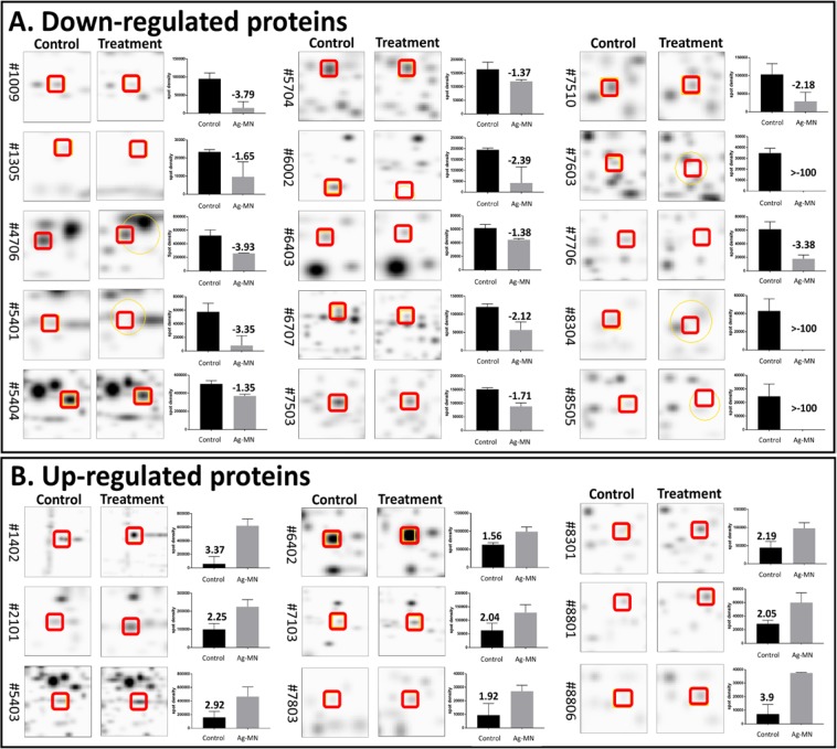 Figure 7