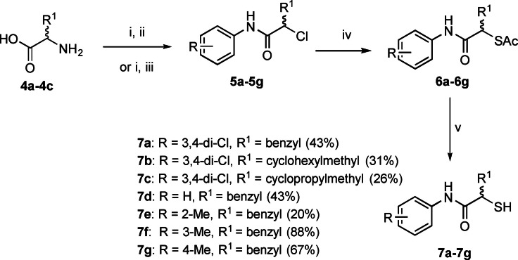 Scheme 1