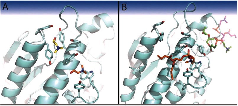 FIGURE 5.